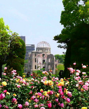 原爆ドームと薔薇の花
